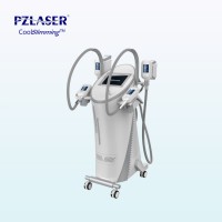 Best Price Professional No-surgical High Quality Cryolipolyse Professionnelle Apparatus Cryolipolysis Machine Made In Korea